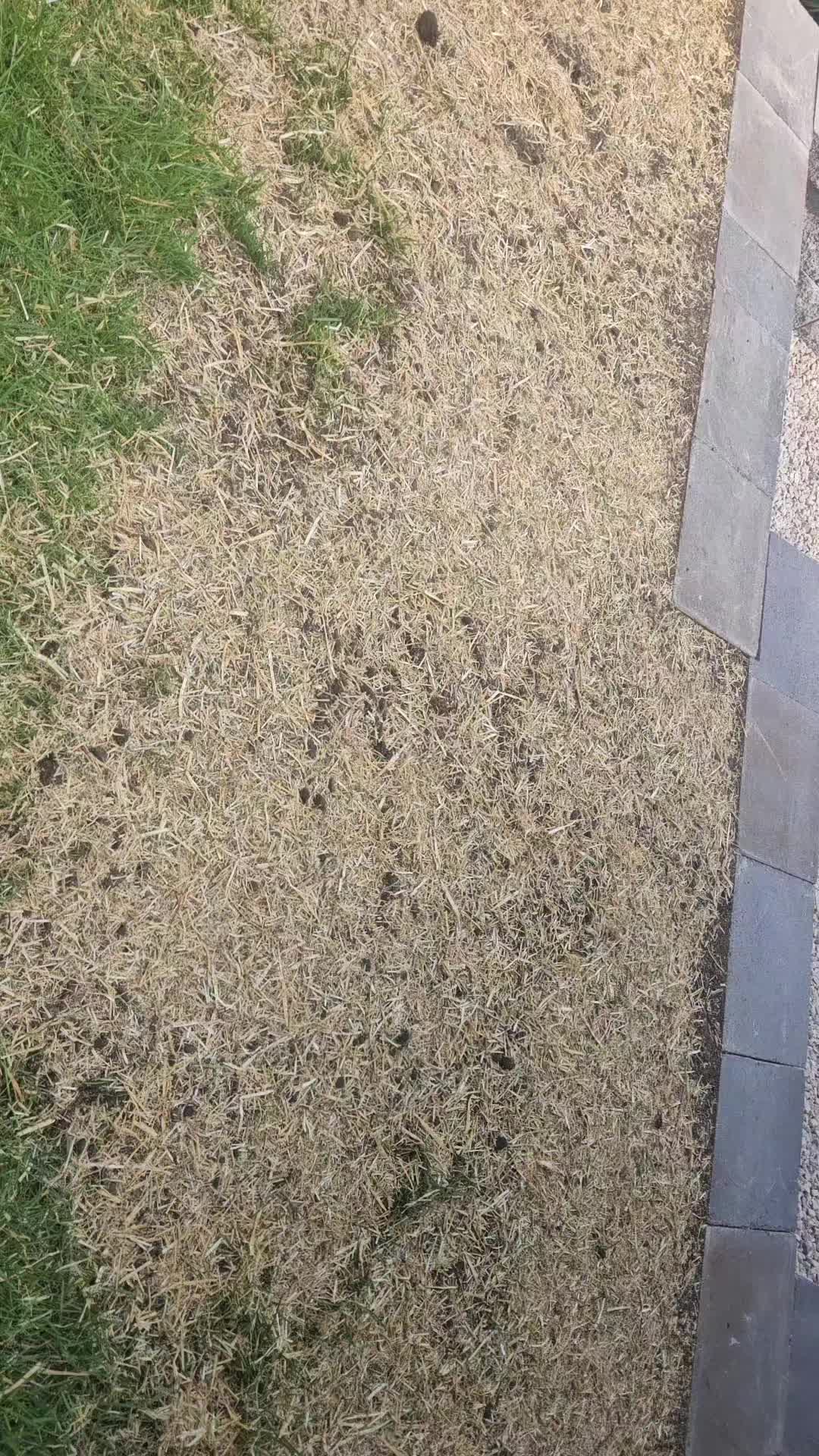@mi ñañito