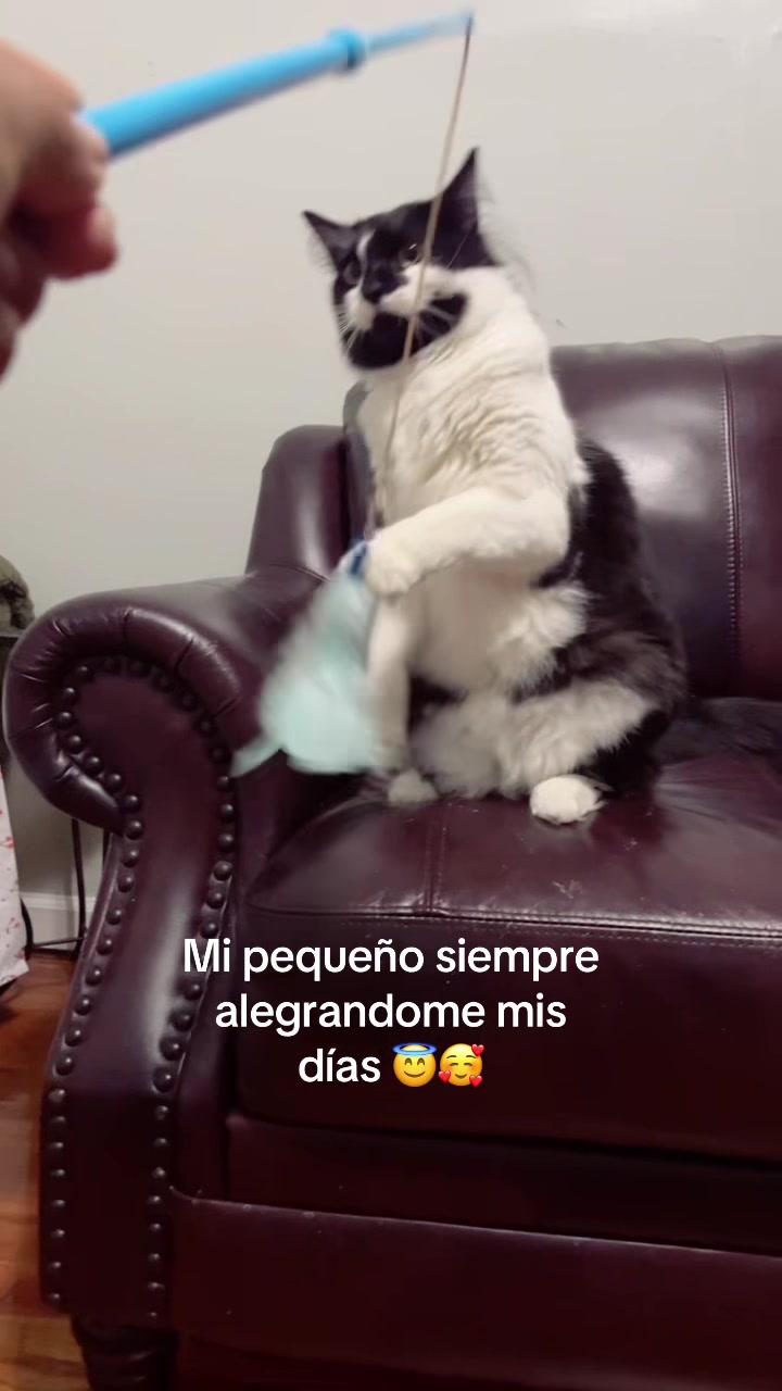 @Consuelo S