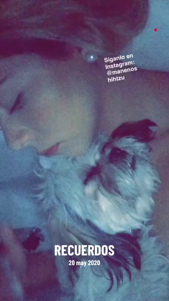 @Diana Laura Mena