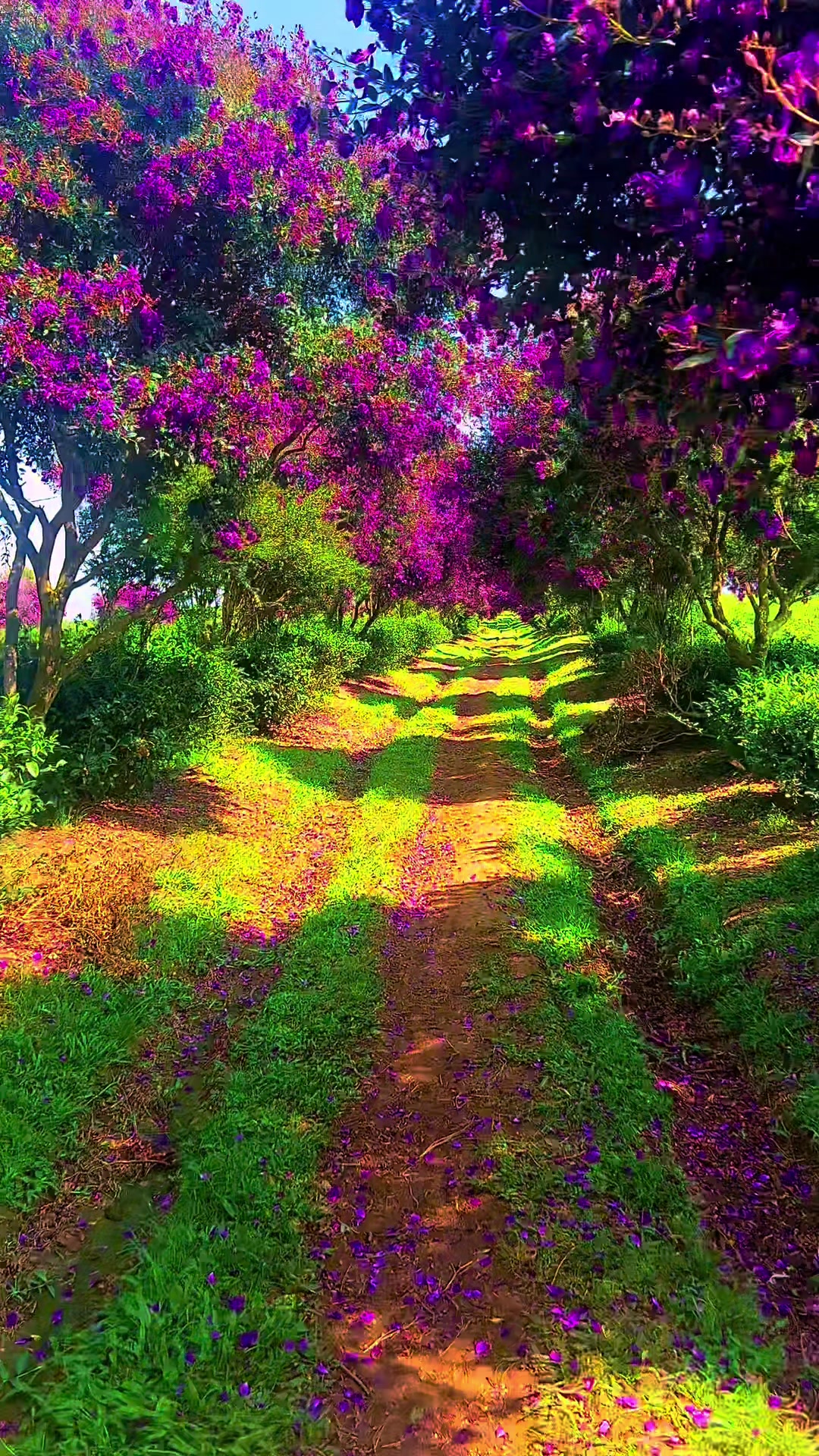 @N&ocirc;ng Trường olong Tằng Vĩnh An