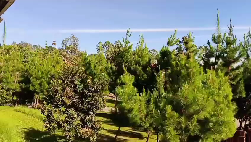 @penginapan ciater subang