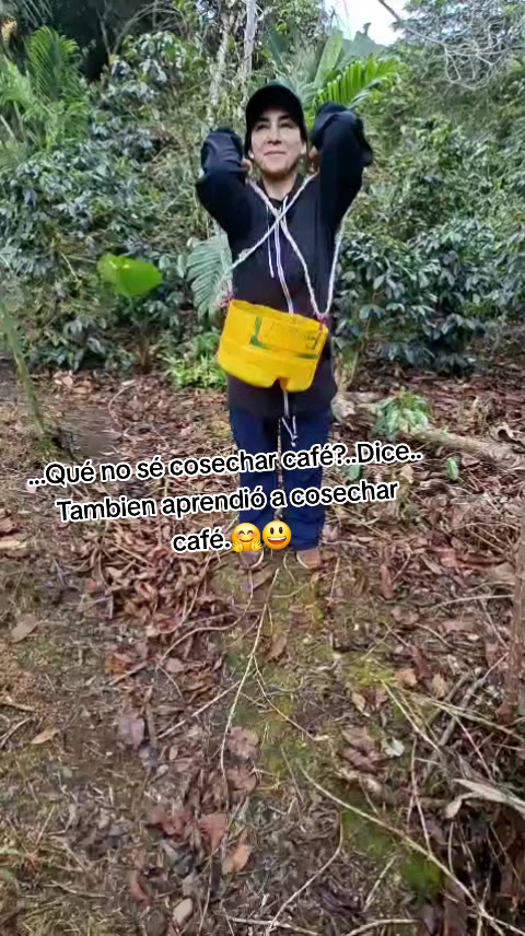 @DRA.CUMBIAMBERA