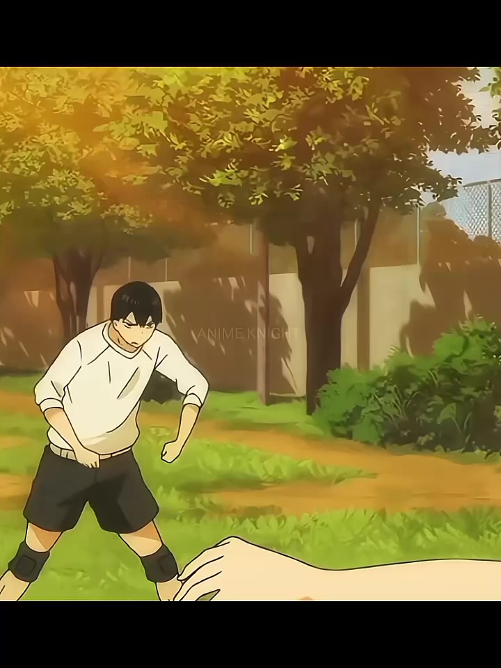 @ANIME KNIGHT ✨