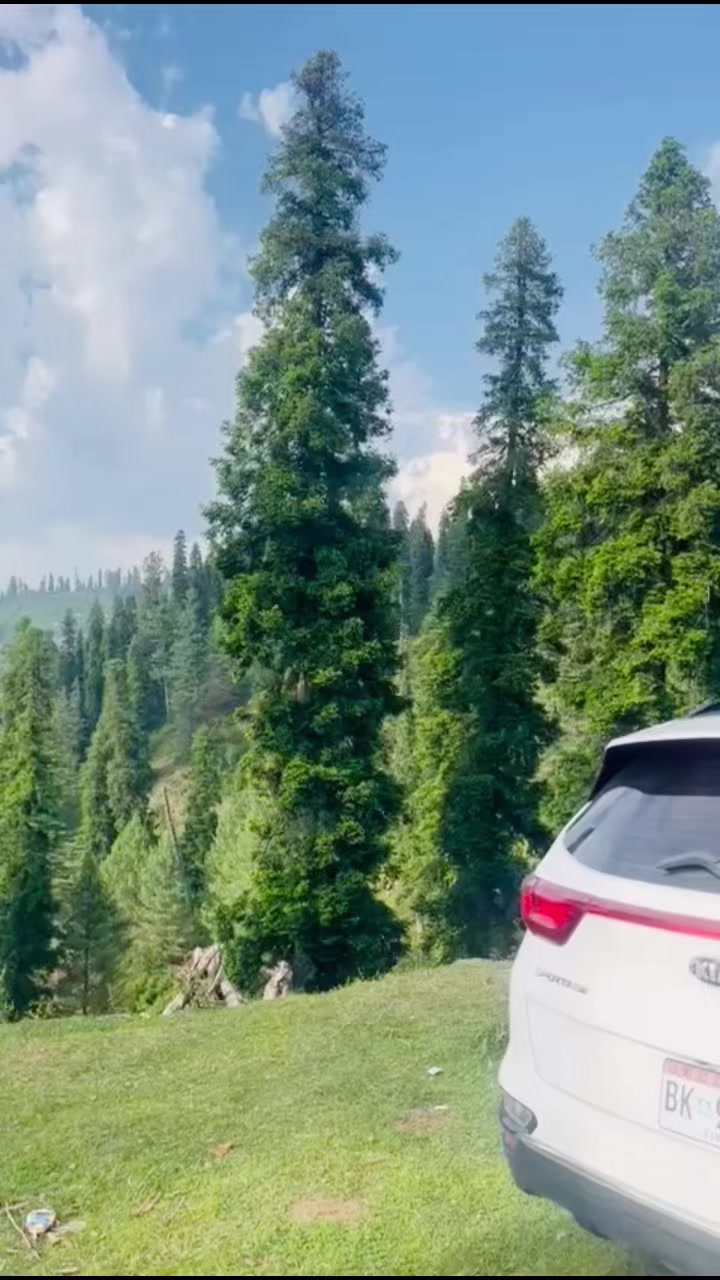 @Sabteen Malik