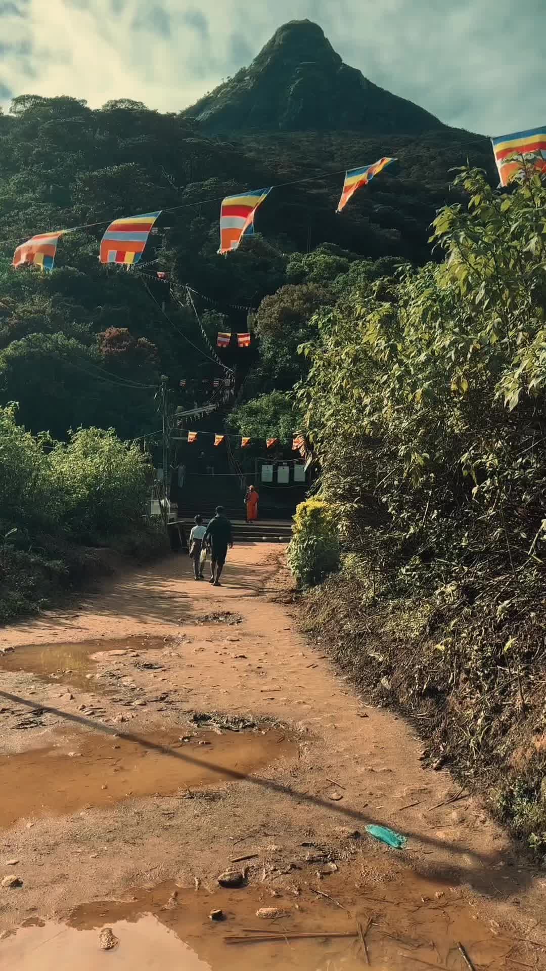 @Jeshani Senanayak995