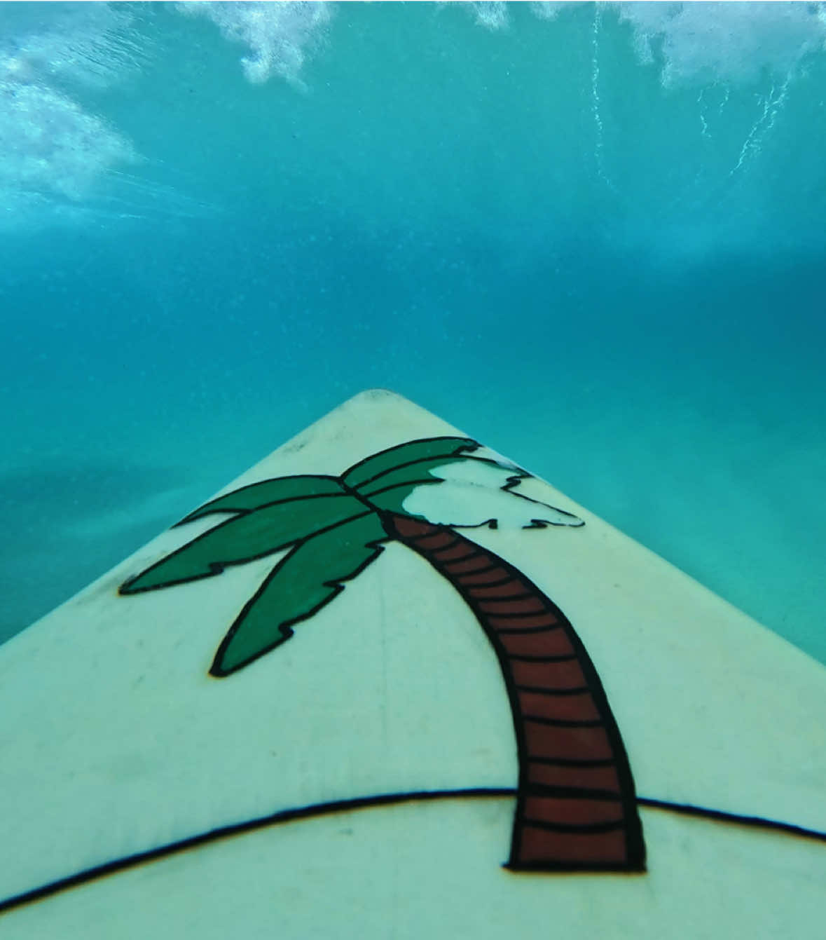 @Casey surfs🏄♂️