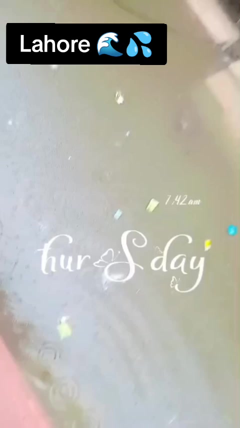@Alizyy🧚