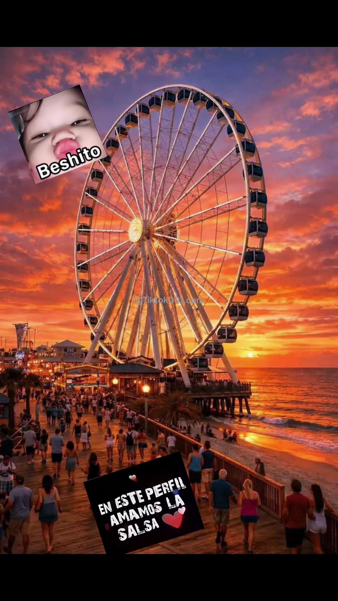@TikTok001.com