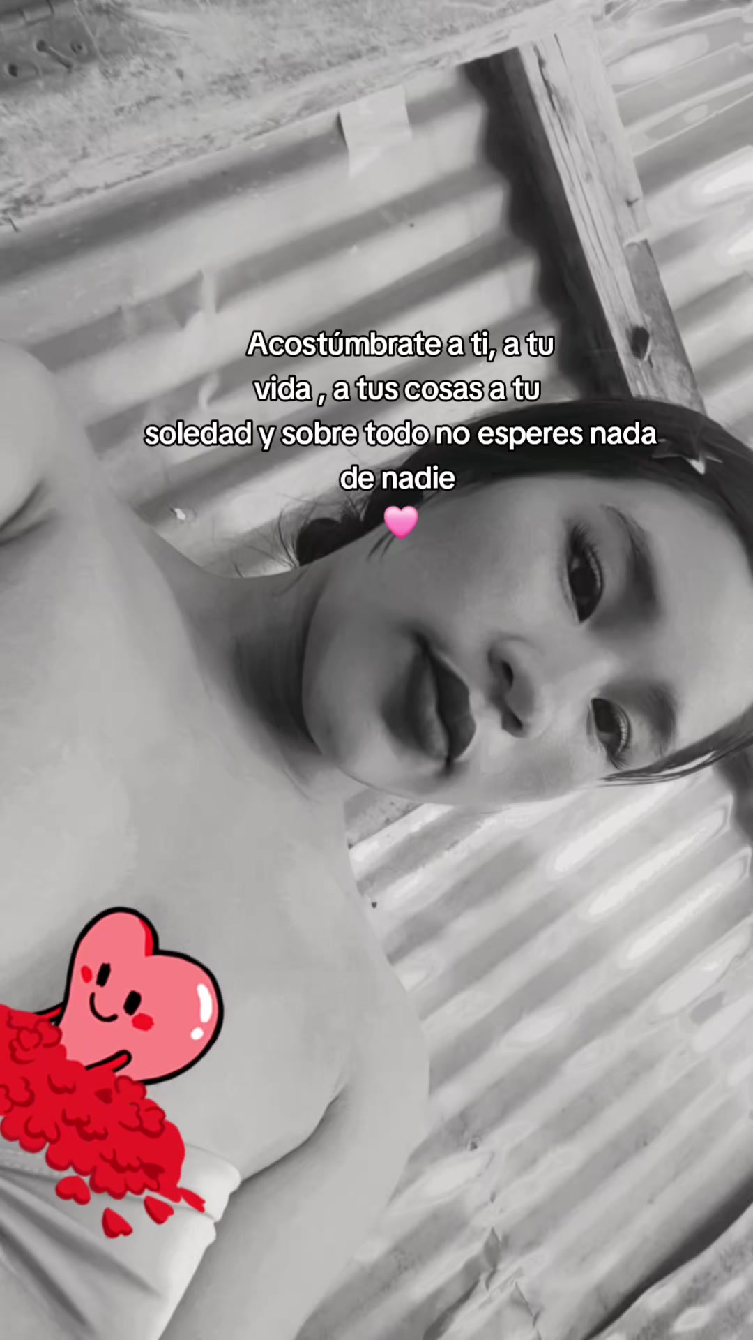 @Sindy Fs7