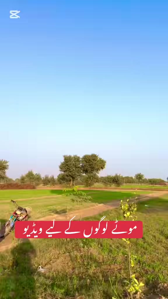 @Ali Faisal Jutt