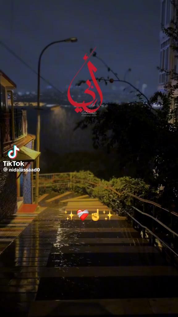 @طالب احمد