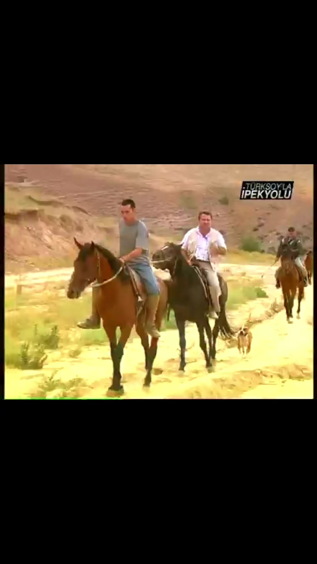 @Seyfullah Türksoy