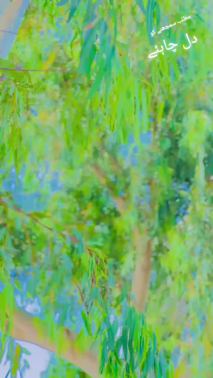 @گمنام✌️✌️