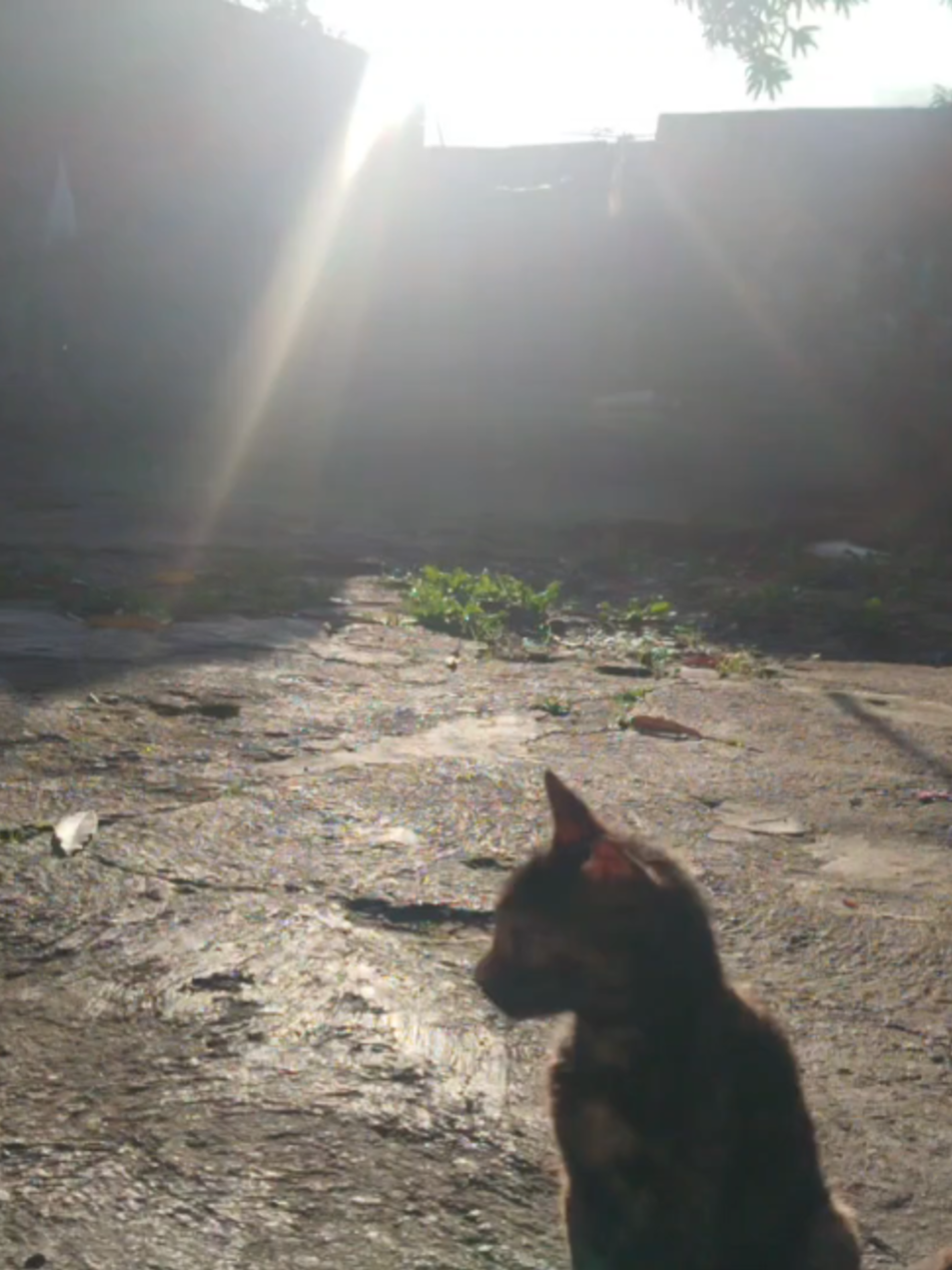 @LᴏsᴇʀBᴏʏ