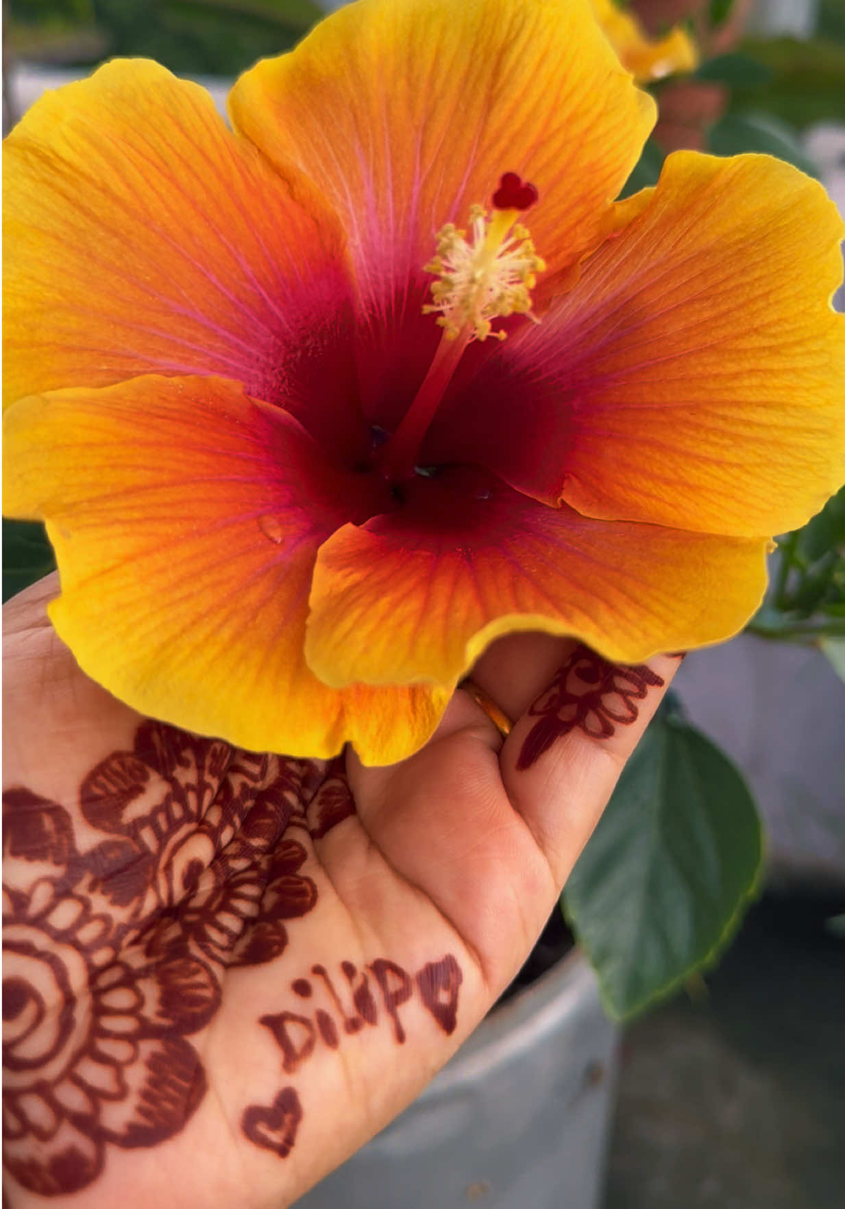 @Happy_Girl 🌻🇳🇵🇯🇵