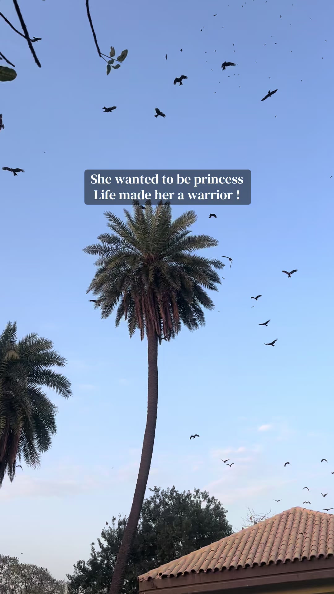 @Nooray🌙