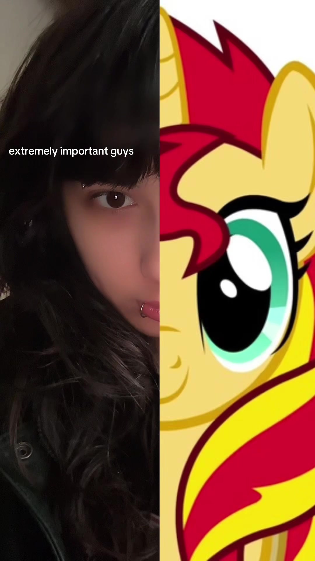 @cinderkittyx