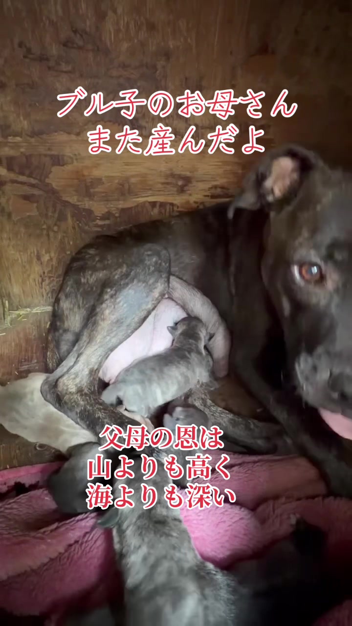 @トモ