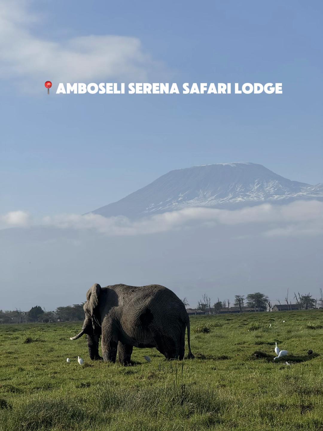 @Serena Hotels - Africa