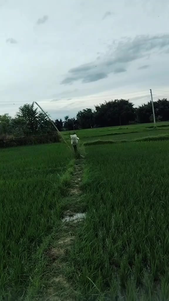 @pankaj🌹Abika tharu🥀💐