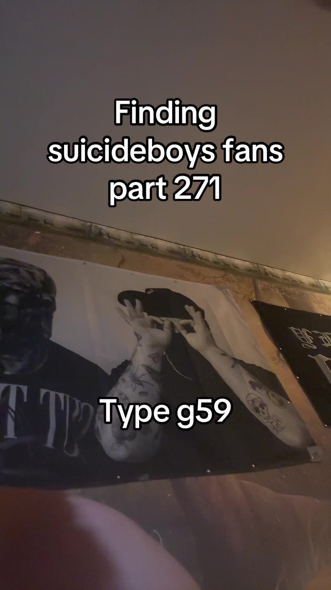 @curlyjoejr2376