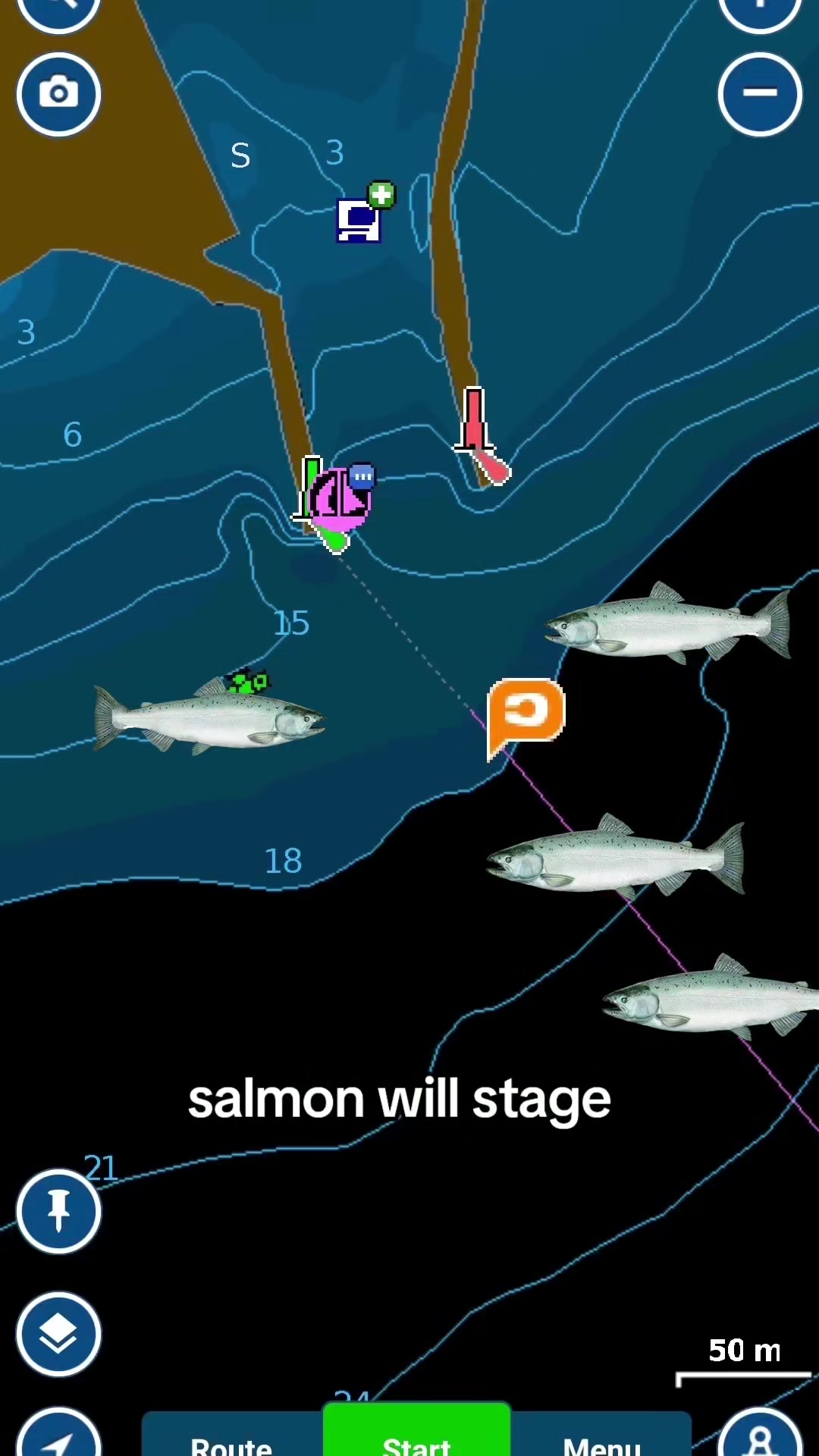 @FishingParadise
