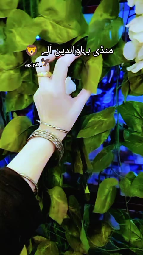 @شہزادی جی♥منڈی بہاؤالدین♥