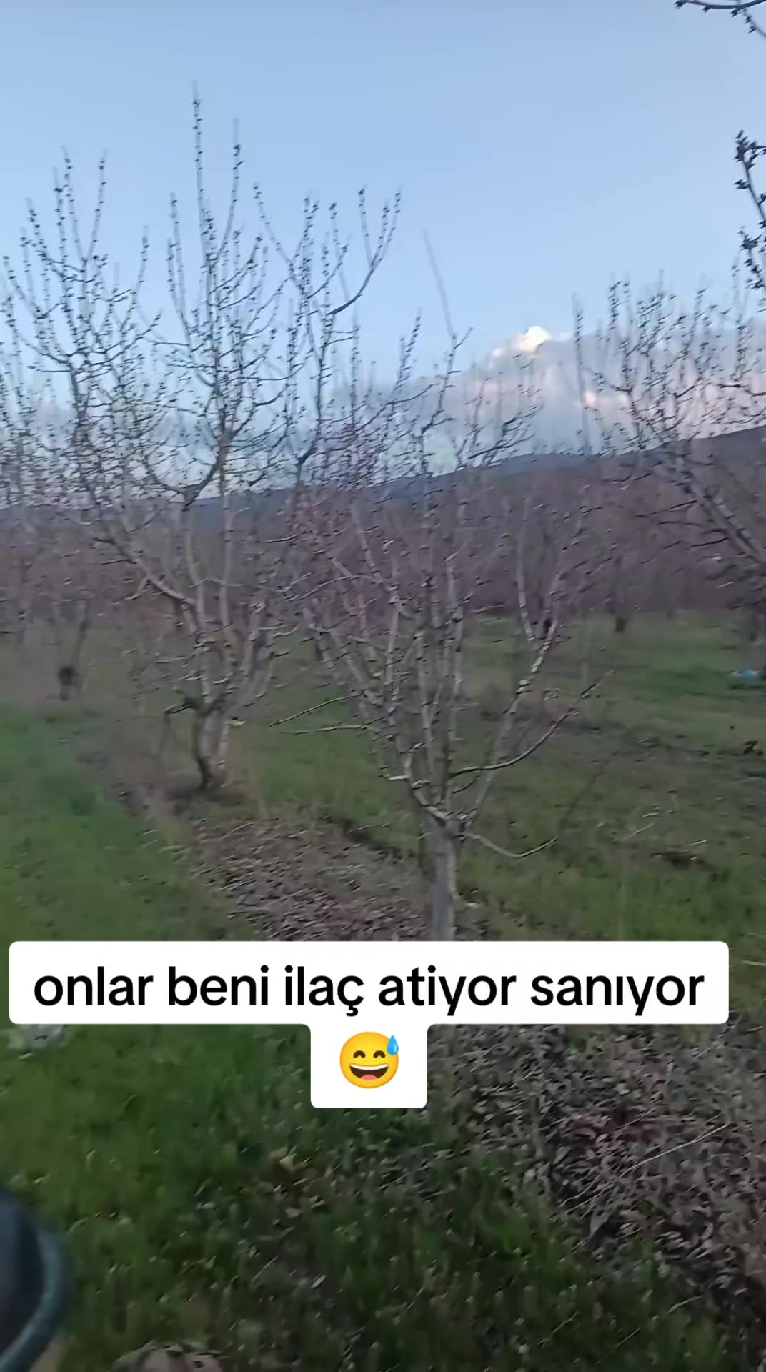 @Halil