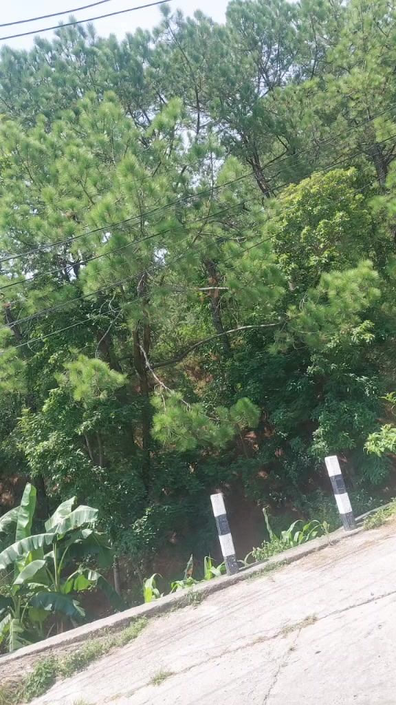 @Sabita Adhikari