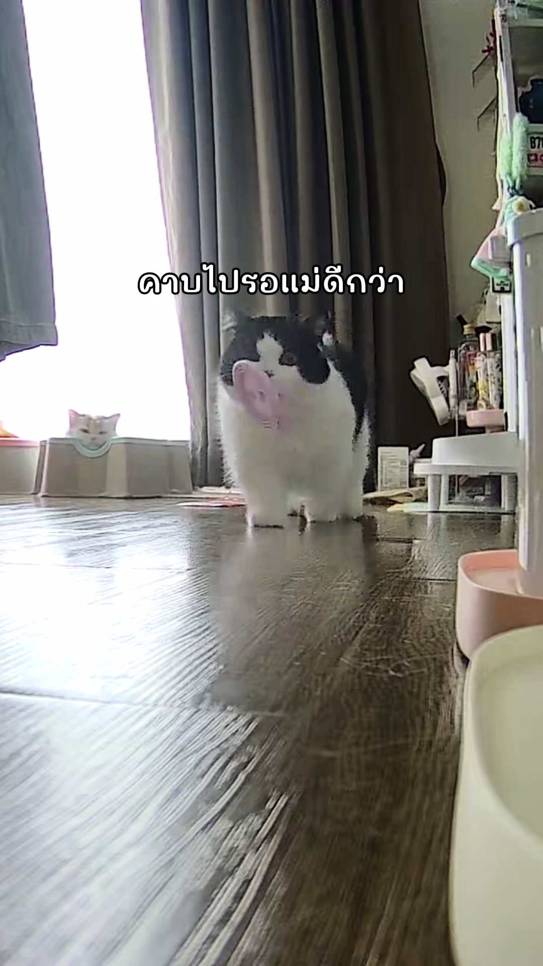 @เยอร์เก้นอยากเป็นดารา