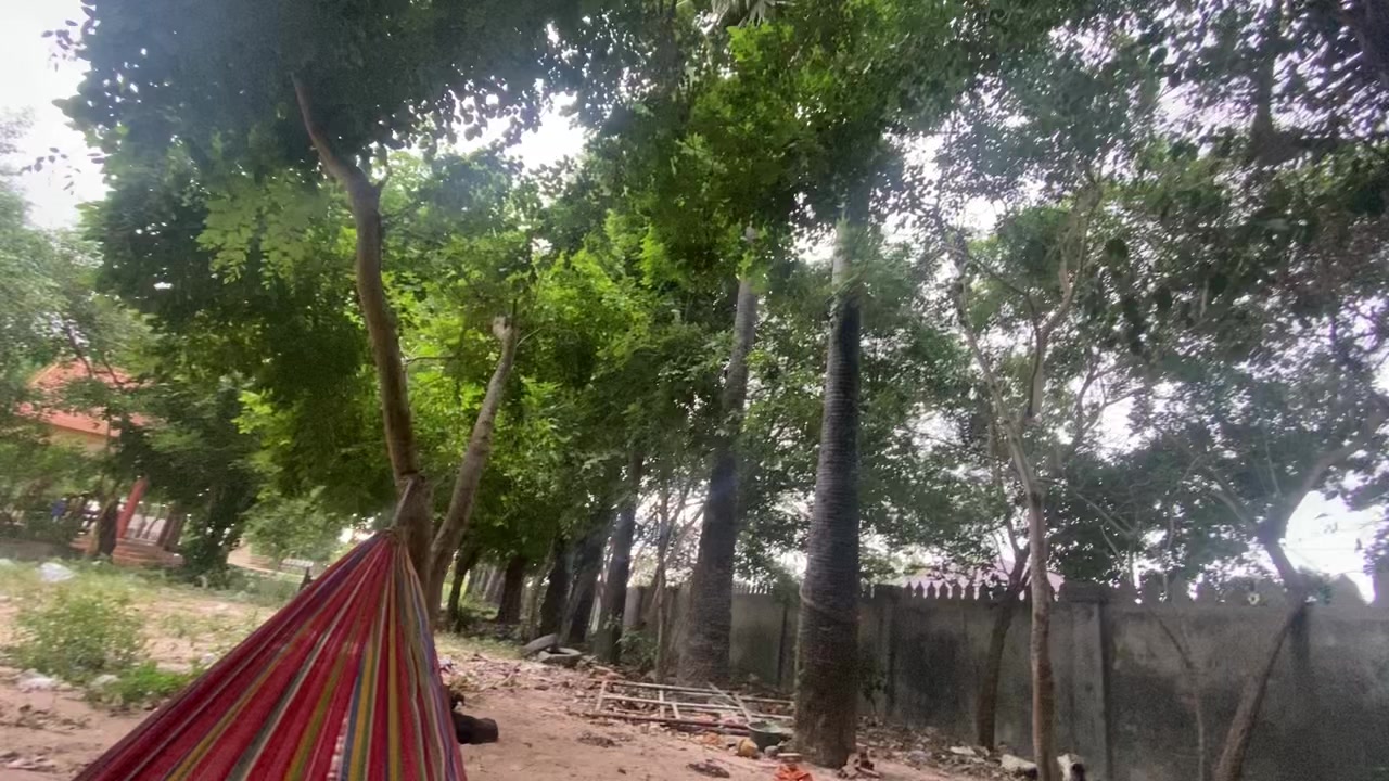 @PU-NY