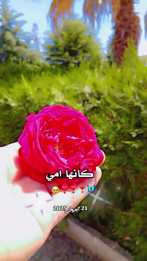 @♯̶ب۫ن۪͢ـت آެࢦفـ⃪ࢪات٘🤎⌯⤹&bull;