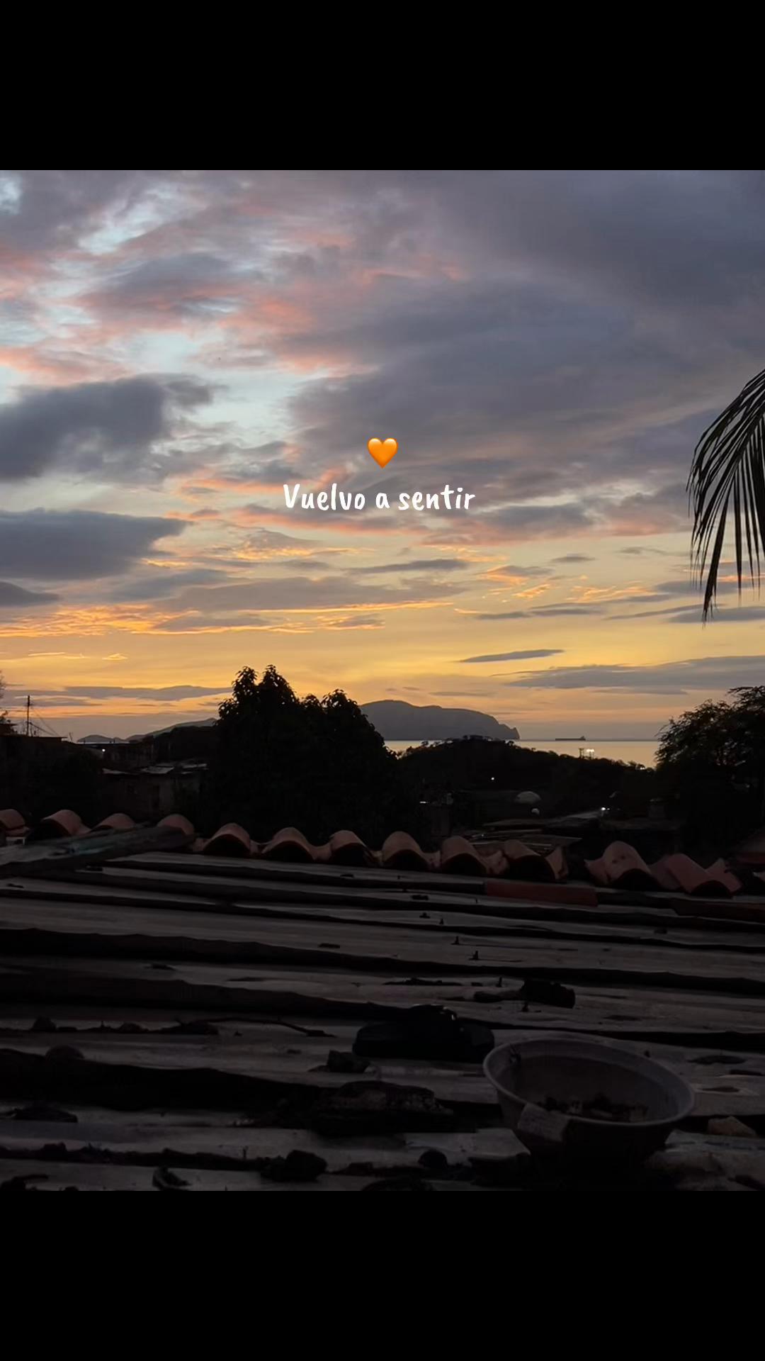 @roncatusalsa