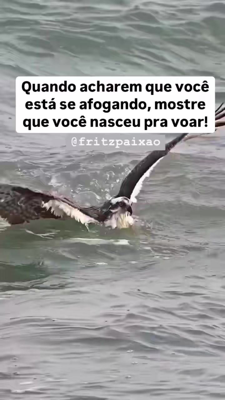 @Monique