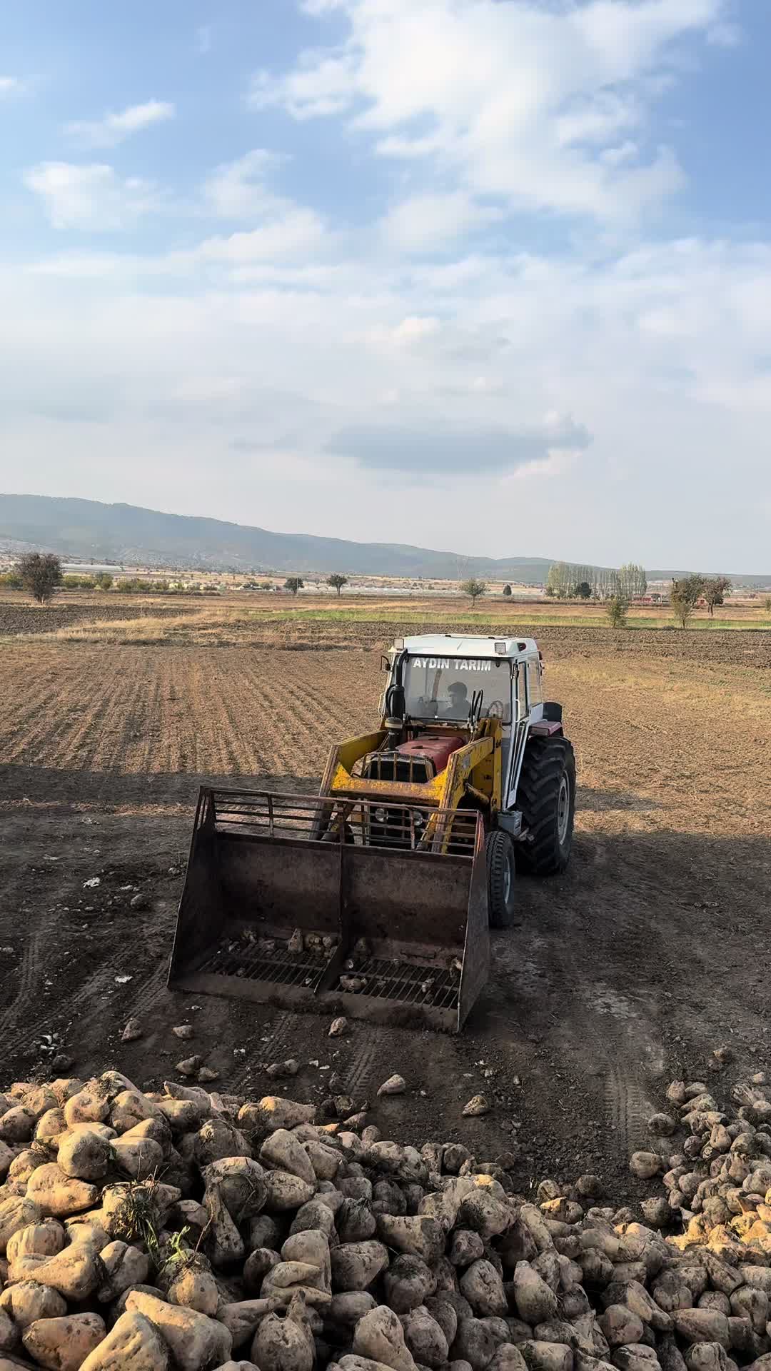 @Yasin Aydın