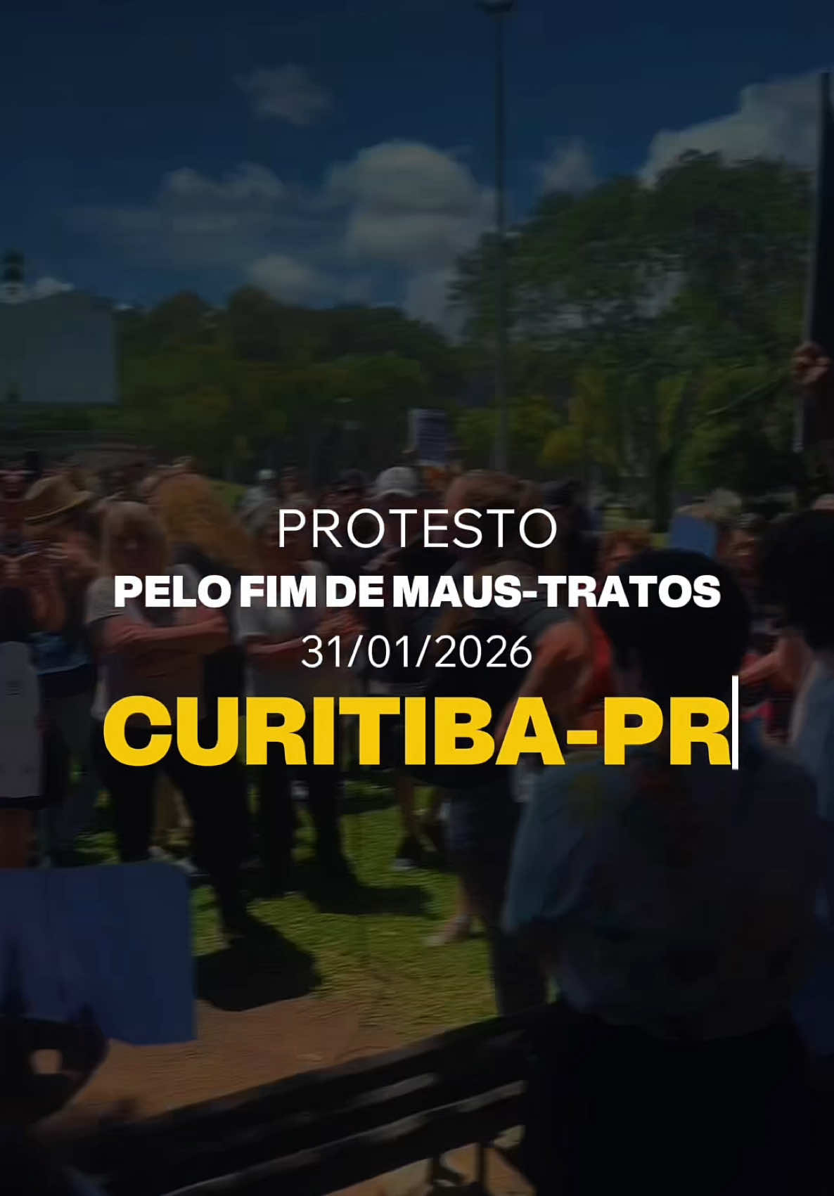 @Eduarda Boza