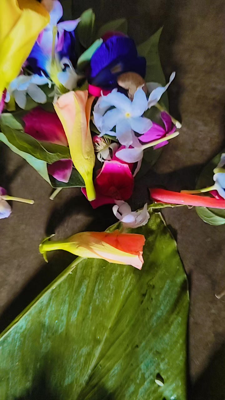@chanda kumarii mehta