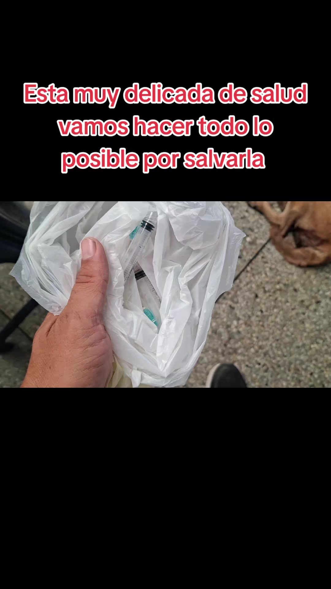 @ARIAS RESCATA