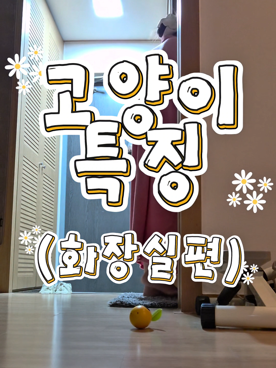 @ddoong2(๋ฑ์ด)