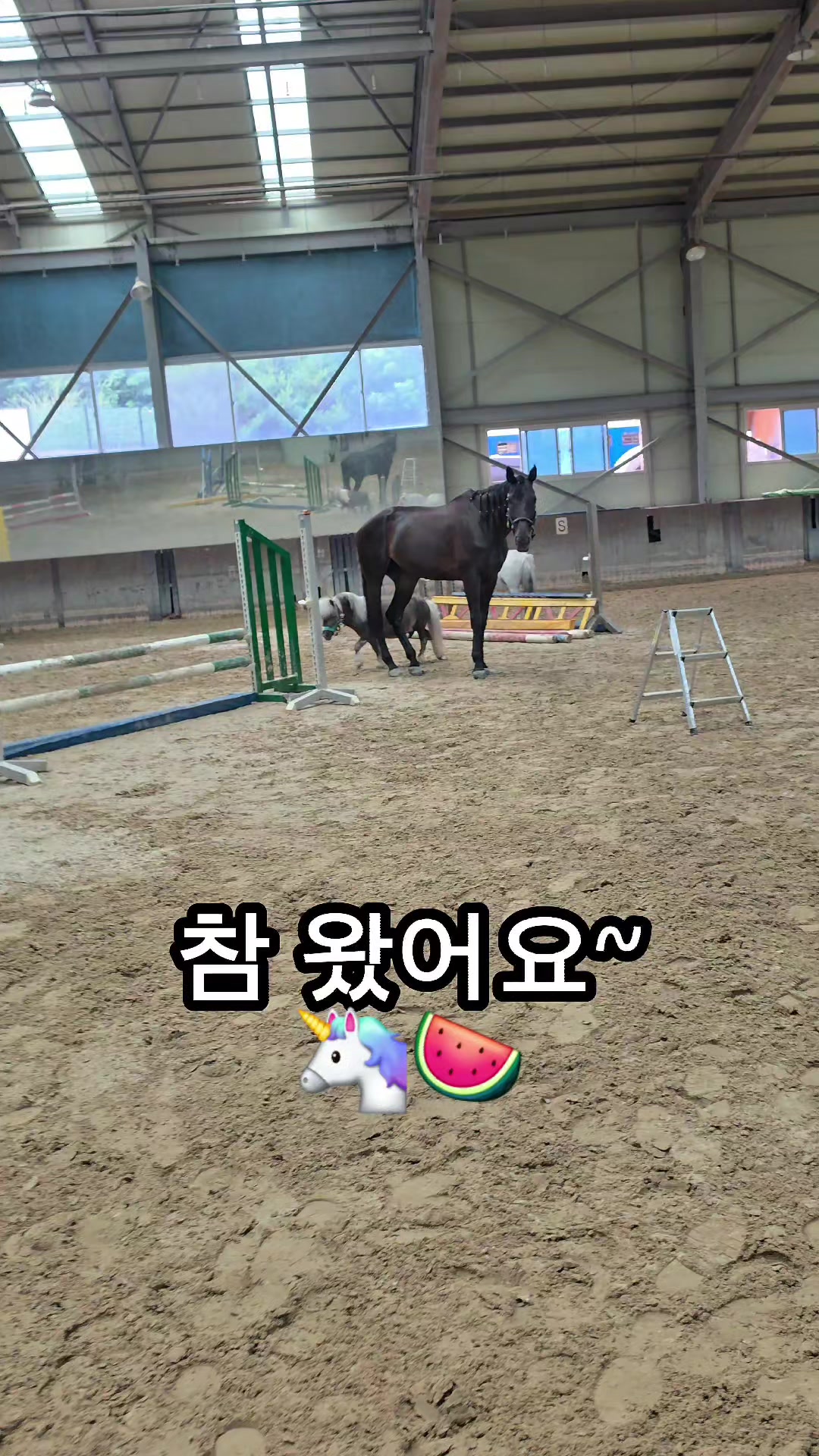 @작은말월리 | 월리플랍🦄