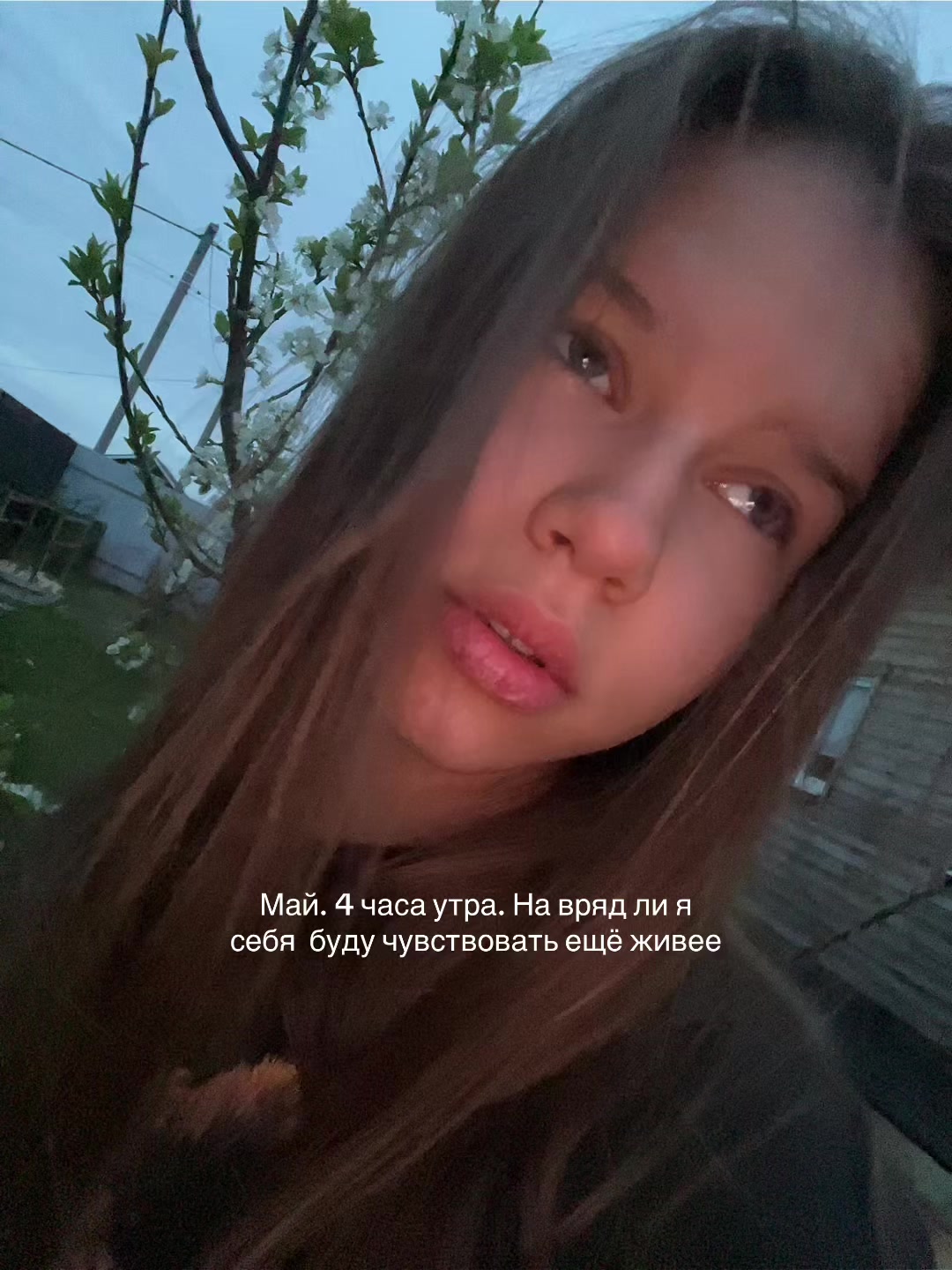 @m.mashk