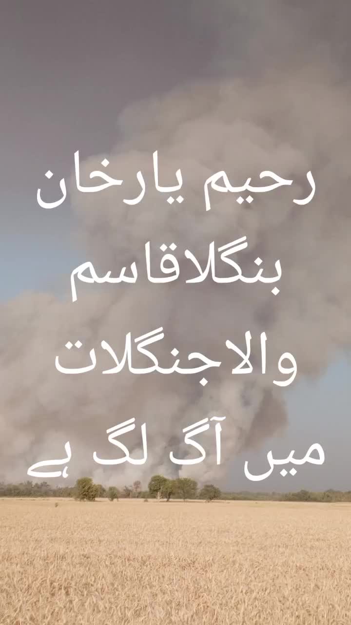 @Muhammad Qadeer