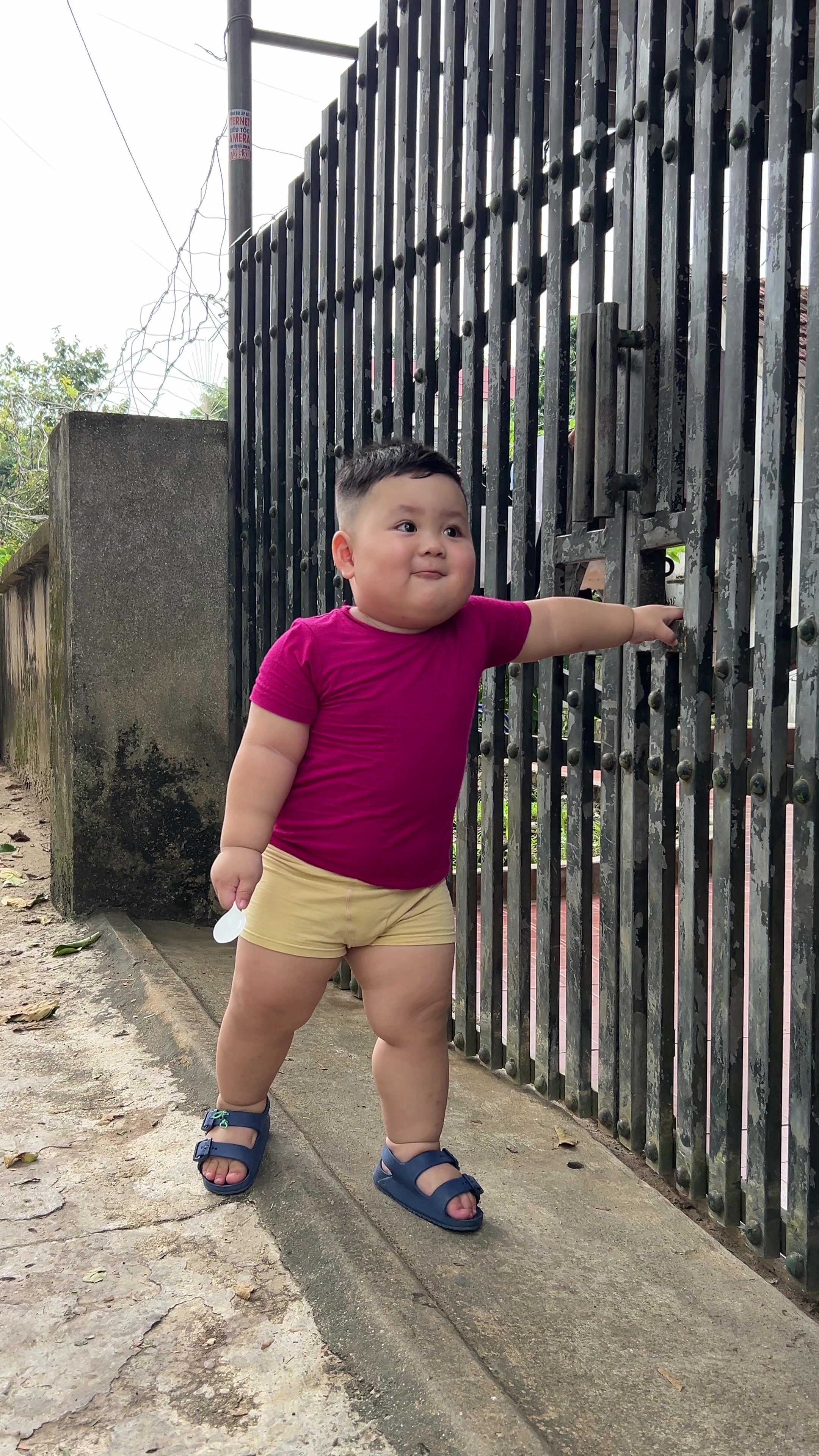 @Sứa biển🪼