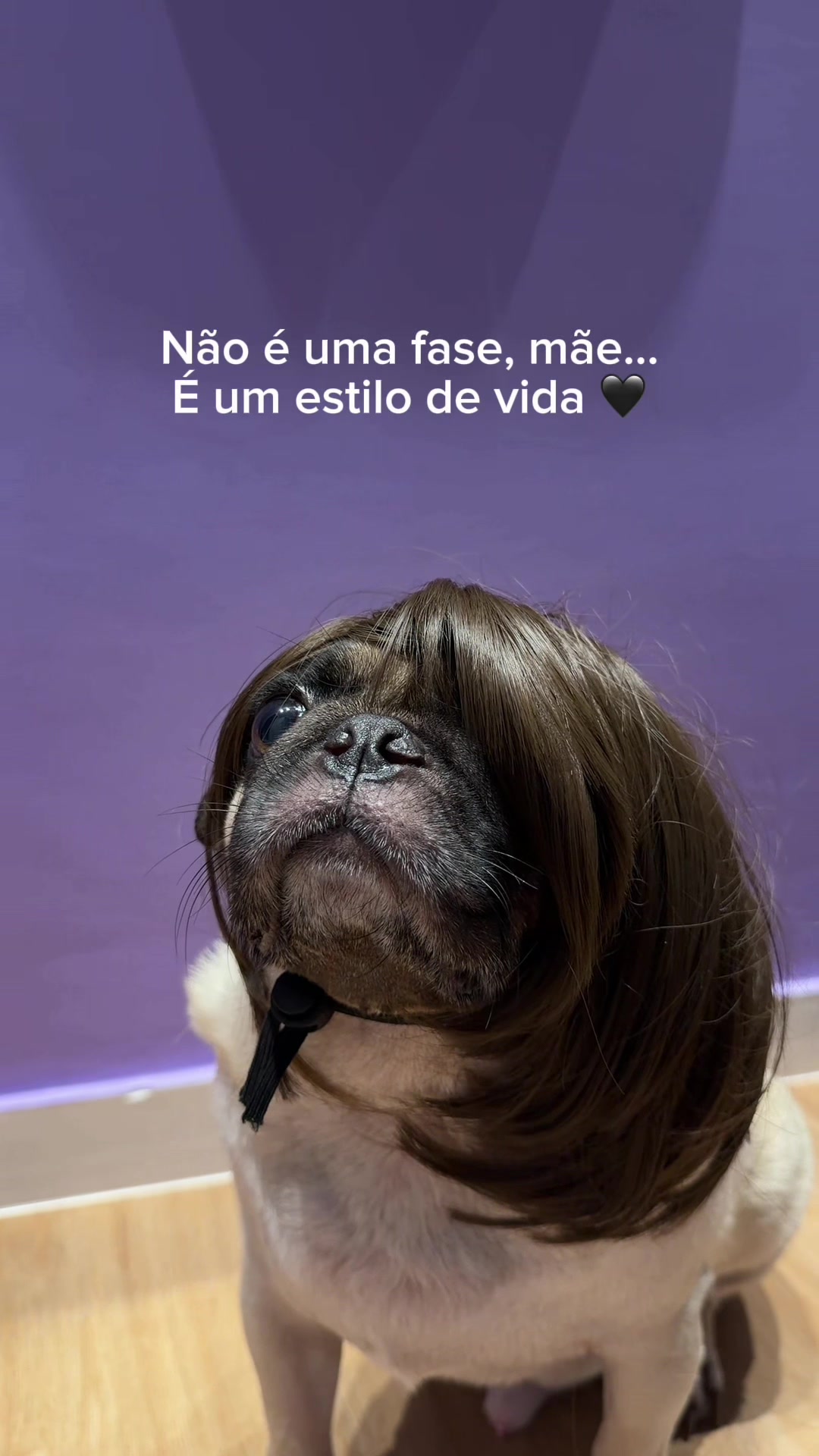 @FRANKINHO