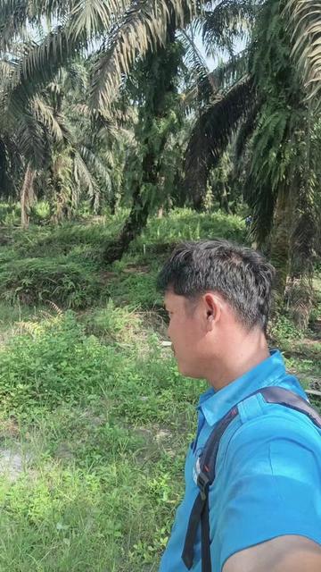 @rajali_aciel