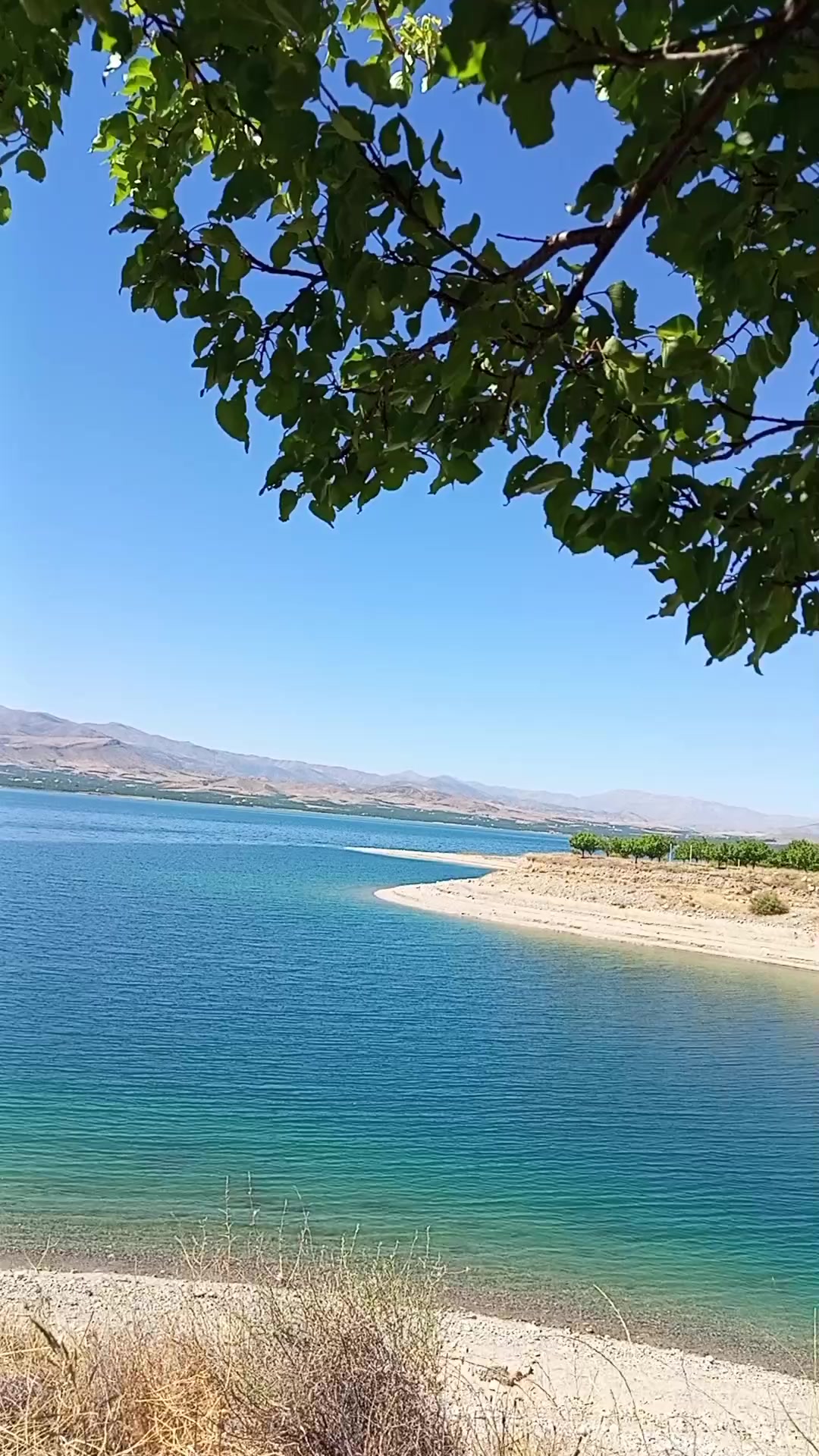 @Ibrahim G&uuml;ltekin3905