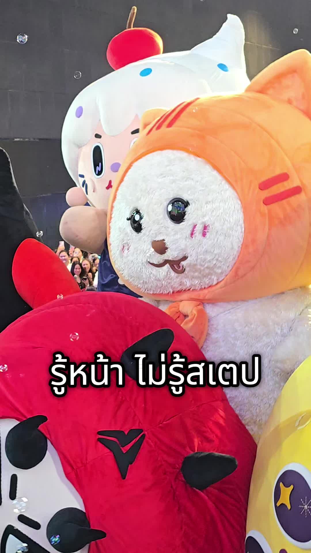 @MUVMUV