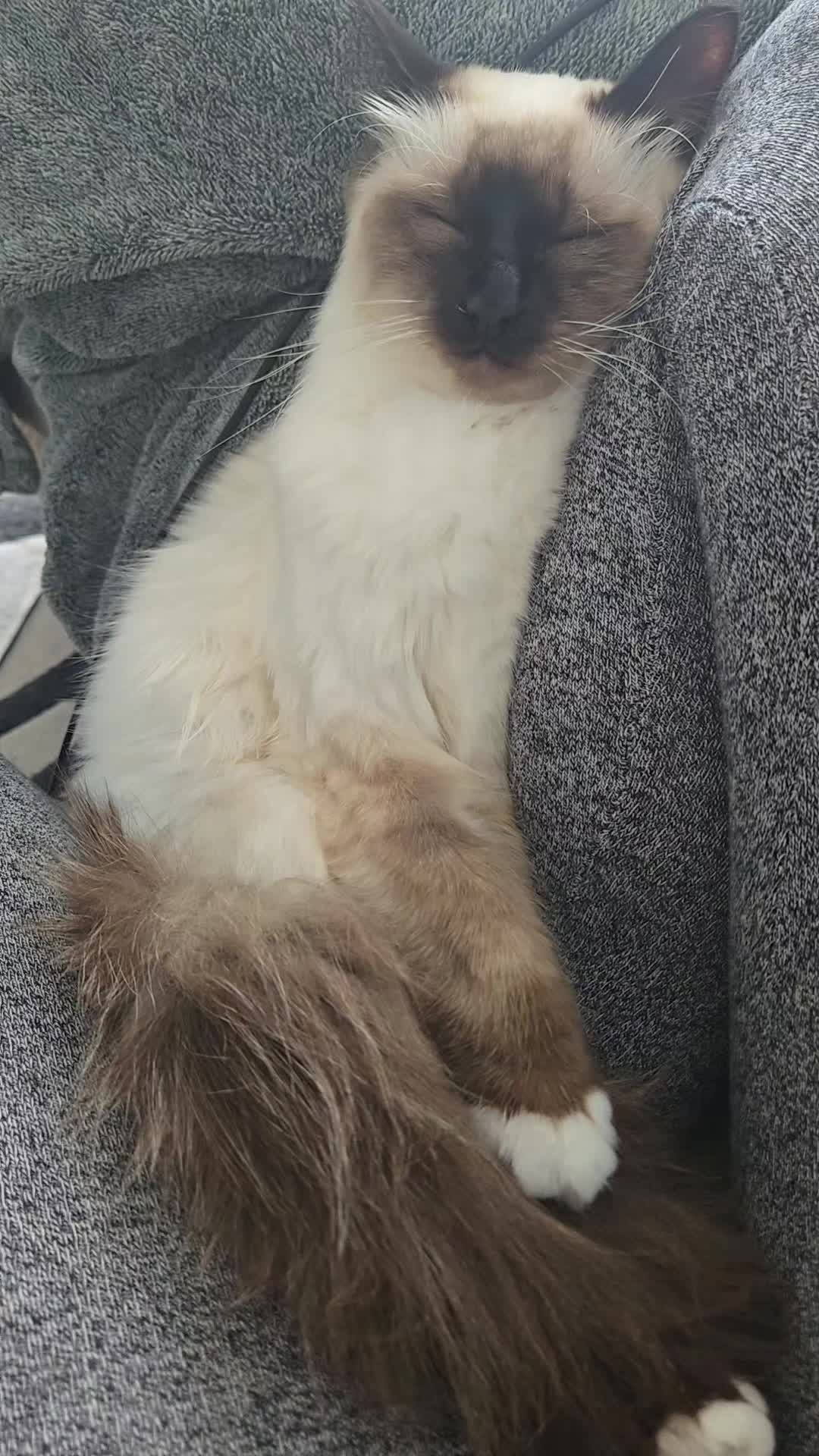 @L&eacute;o & Suki &hearts;️