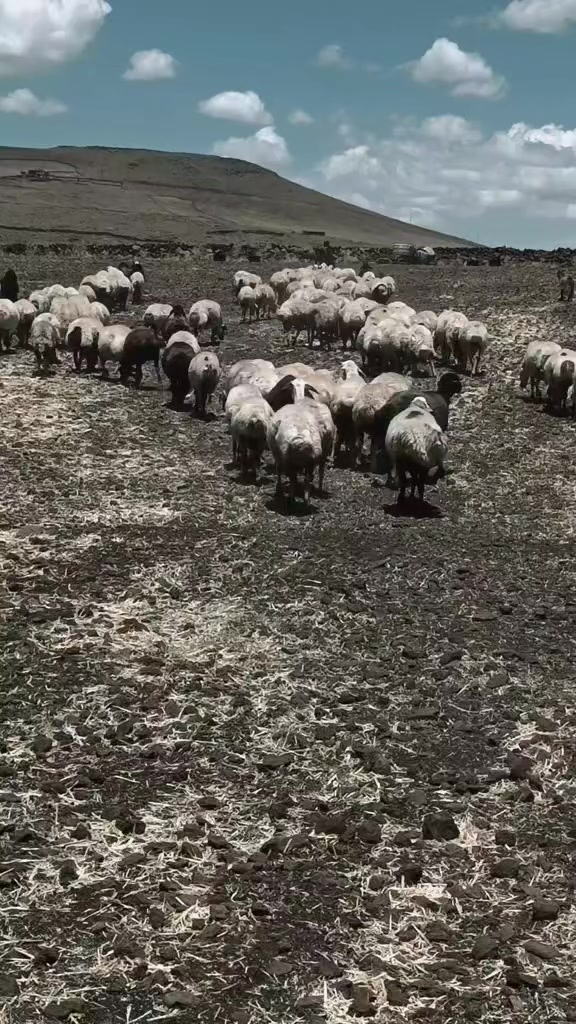 @keke sülo 💐💐