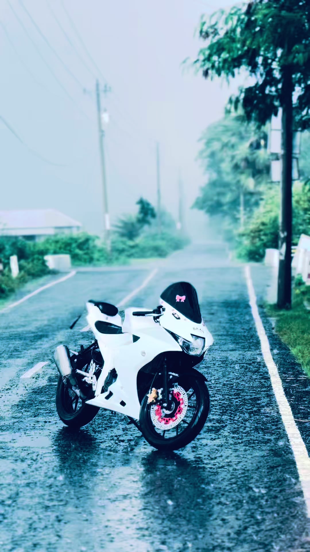 @ʀᴇᴅ ᴄʜᴇʀʀʏ 💋
